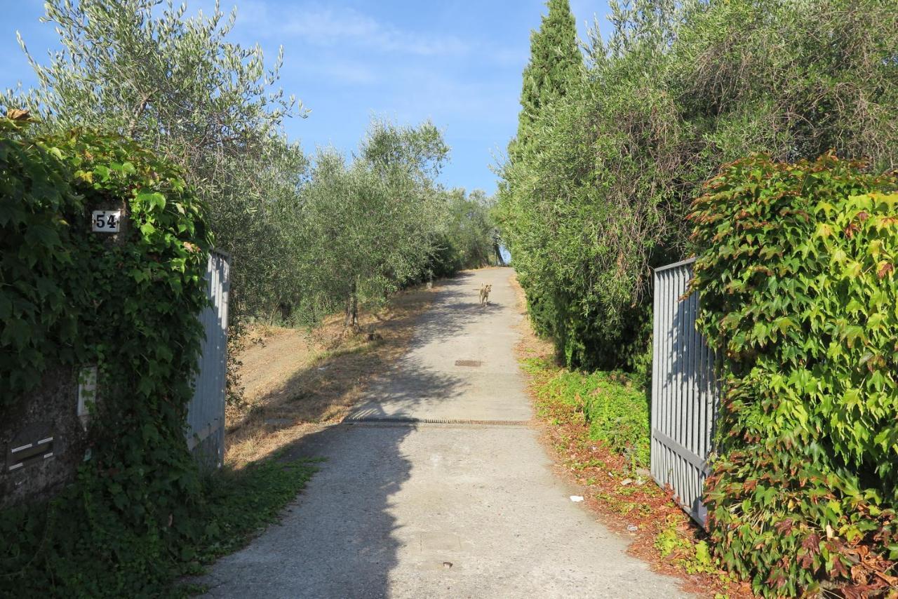 Banks 1 Villa Vezzano Ligure Exterior photo
